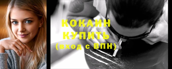 сатива Краснослободск
