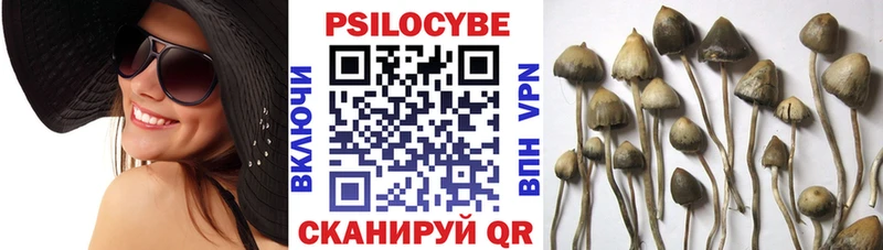 Галлюциногенные грибы ЛСД  Красково 